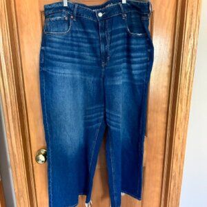 American Eagle Wide Leg Baggy Jeans
